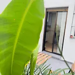 San Pedro-corredera Apartamento *