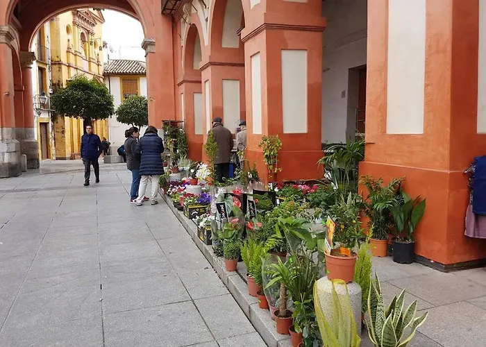 San Pedro-corredera *