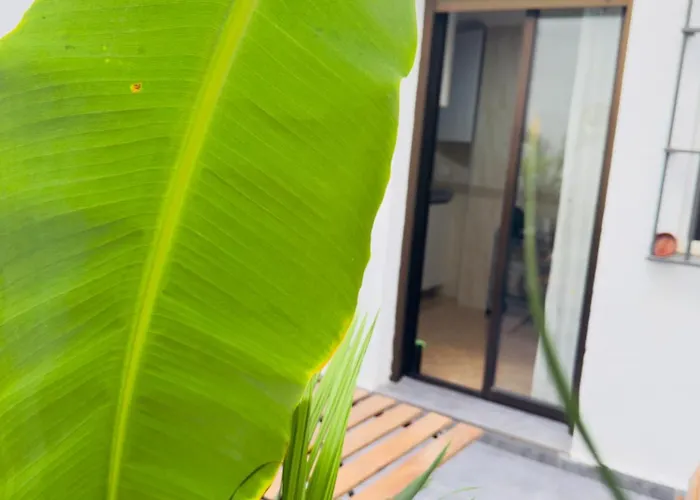 San Pedro-corredera 公寓 *