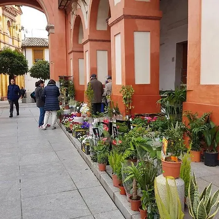 San Pedro-corredera *