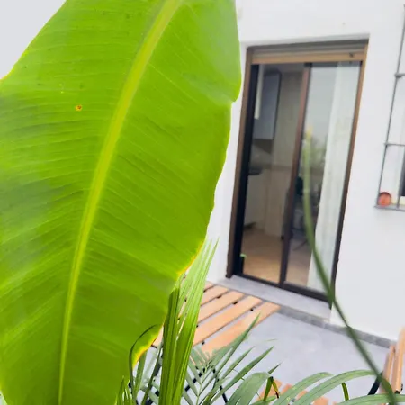 San Pedro-corredera Appartement *